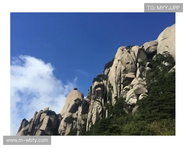 万博manbetx官网手机在线：最新优惠活动与彩金福利领取攻略